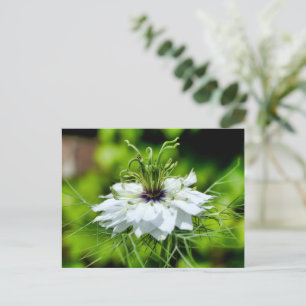 Carte Postale Corne