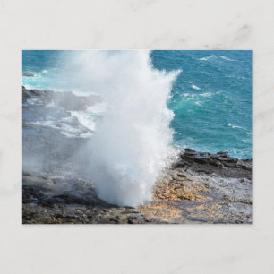 Carte Postale Corne avec conjoint à Kauai, Hawaii