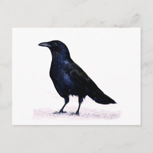 Carte Postale Corneille
