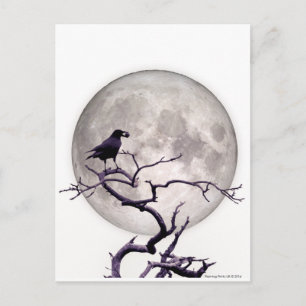 Carte Postale Corneille Et Lune Corbeau Imaginaire Nuit Gothique