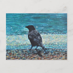 Carte Postale Corneille sur la peinture de plage
