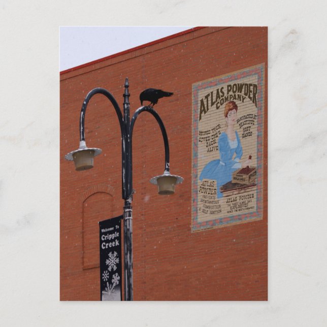 Carte Postale Corneilles et dynamite (Devant)