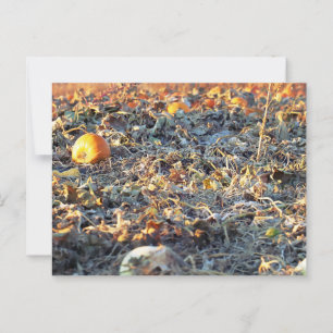 Carte Postale Correctif Citrouille figé
