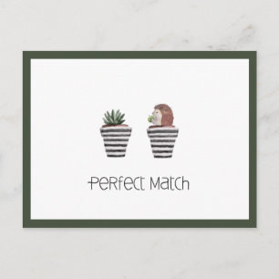 Carte Postale Correspondance parfaite   Cute Hérisson & Cactus L