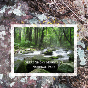 Carte Postale Cosby Creek, Great Smoky Mountain National Park