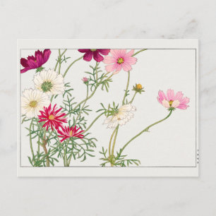 Carte Postale Cosmos par Tanigami Konan