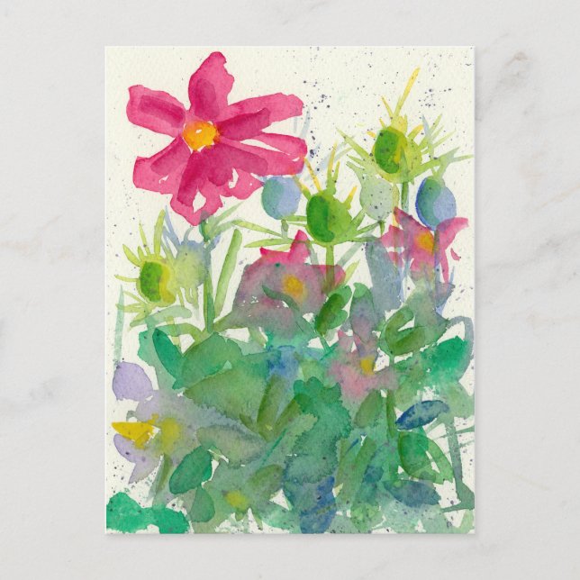 Carte Postale Cosmos rose Fleur Nigella Jardin Aquarelle (Devant)