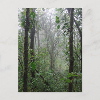 Carte Postale costa rica