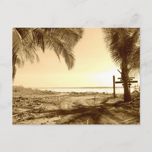 Carte Postale Costa Rica Beach (Devant)