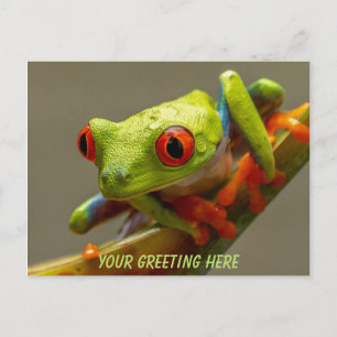 Carte Postale Costa Rica Grenouille à yeux rouges personnalisée