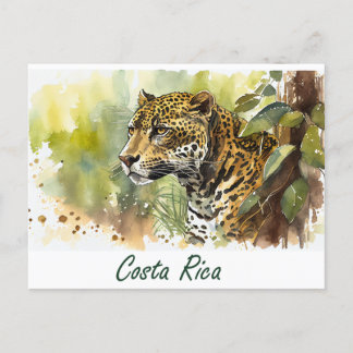 Carte Postale Costa Rica Jaguar