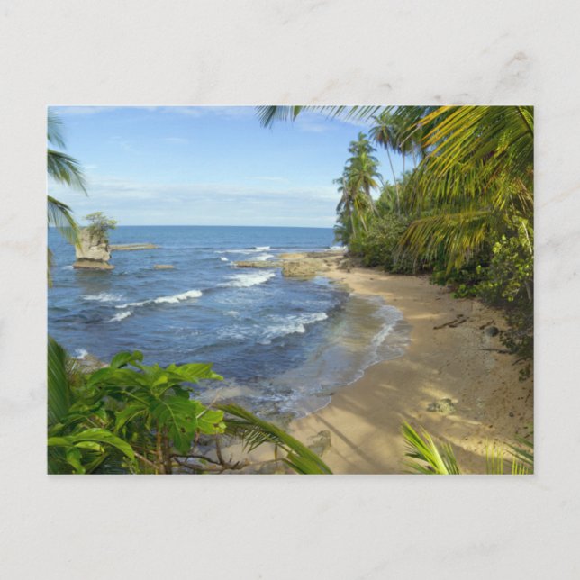Carte Postale Costa Rica, Manzanillo Wildlife Refuge (Devant)