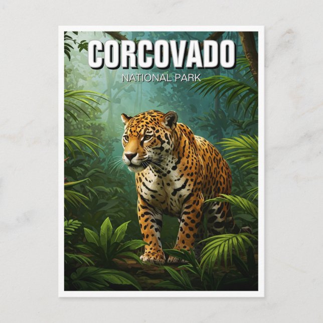 Carte Postale Costa Rica Parc national Voyage Jaguar (Devant)