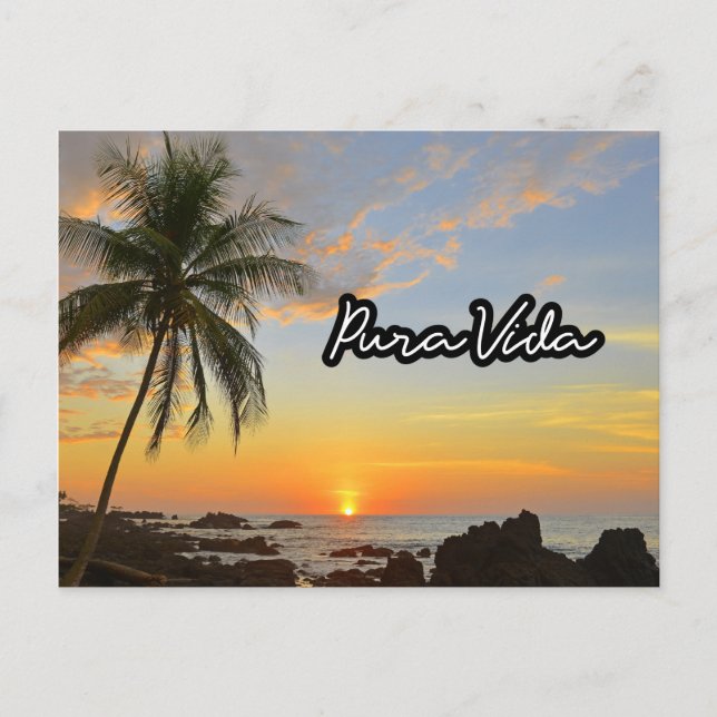 Carte Postale Costa Rica Pura Vida Beach Souvenir (Devant)
