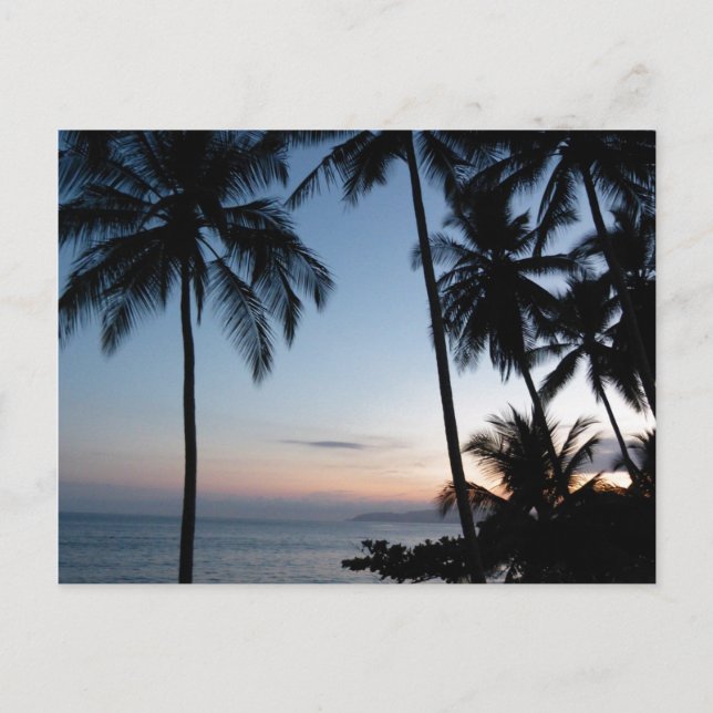 Carte Postale Costa Rica Sunrise (Devant)