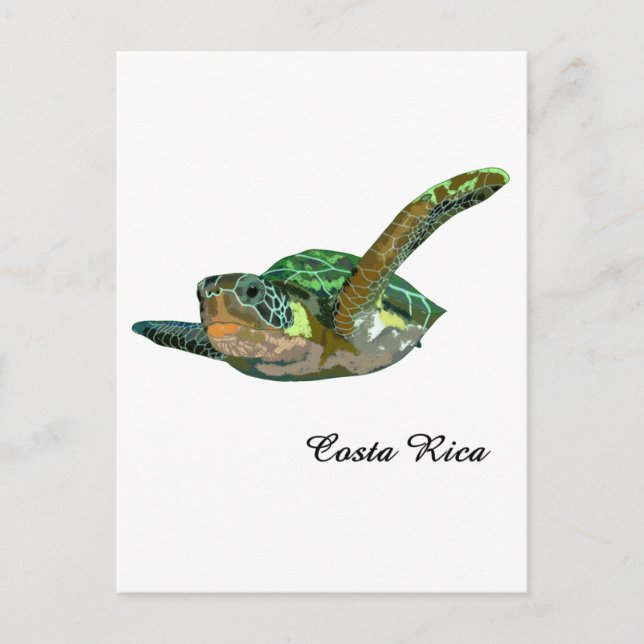 Carte Postale Costa Rica Tortue de mer (Devant)