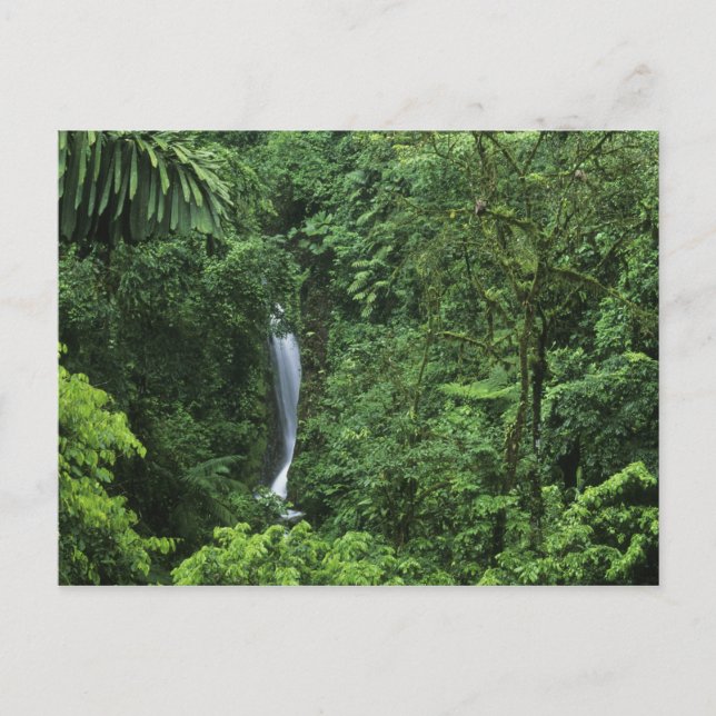 Carte Postale Costa Rica, zone volcanique d'Arenal, ponts suspen (Devant)