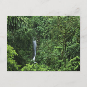 Carte Postale Costa Rica, zone volcanique d'Arenal, ponts suspen