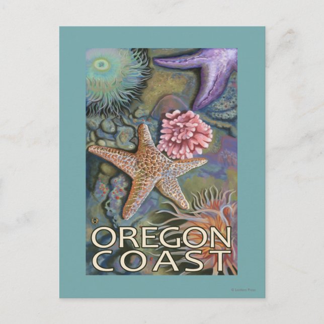 Carte Postale Côte de l'Oregon Tidepool (Devant)