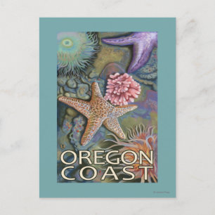 Carte Postale Côte de l'Oregon Tidepool