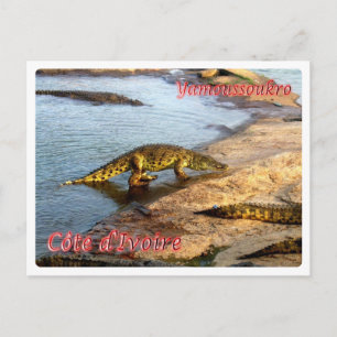 Carte Postale Côte d'Ivoire - Yamoussoukro -