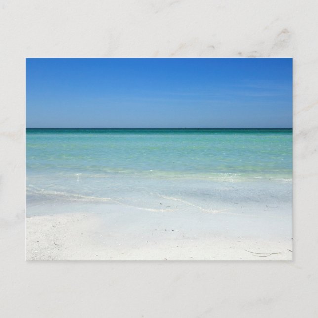 Carte Postale Côte du golfe de Siesta Beach (Devant)
