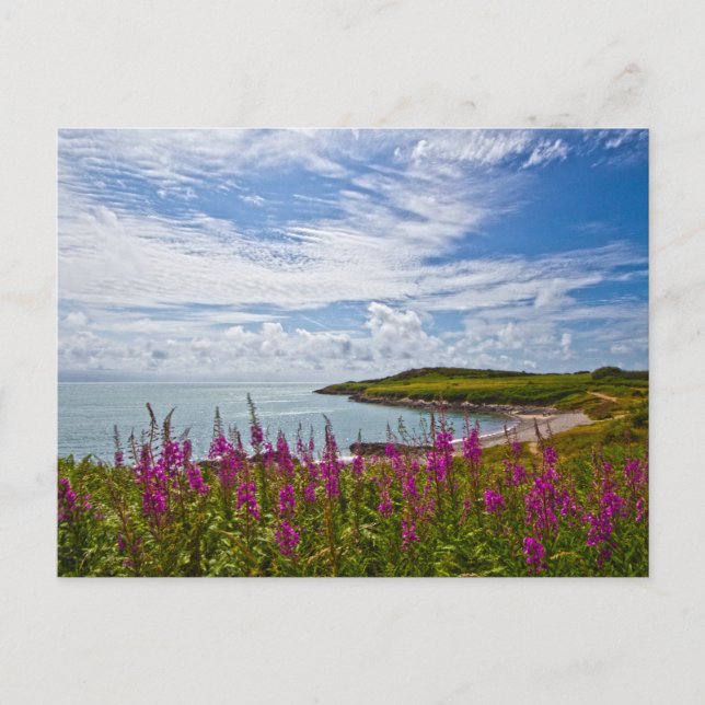 Carte Postale Côte du Nord du Pays de Galles (Devant)