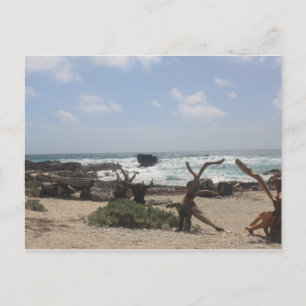 Carte Postale Côte Est de Cozumel