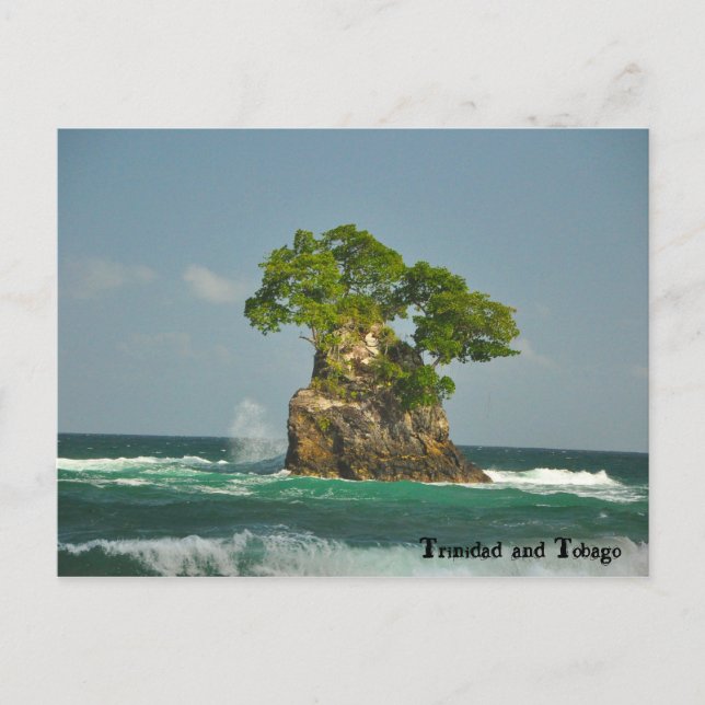Carte Postale Côte Nord de Trinidad (Devant)