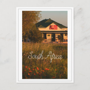 Carte Postale Côte Ouest Aurora Afrique du Sud Fleurs sauvages