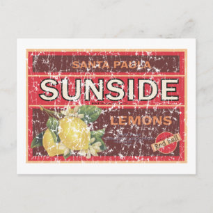 Carte Postale Côté soleil - en détresse