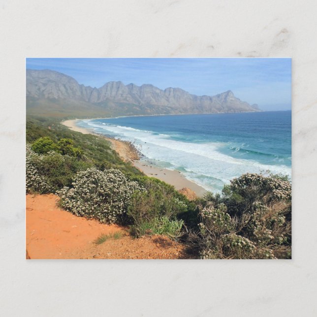 Carte Postale Côte sud-africaine (Devant)