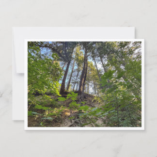 Carte Postale Coteau