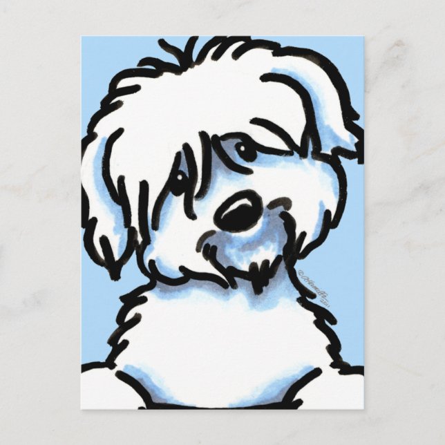 Carte Postale Coton blanc de Tuléar face (Devant)