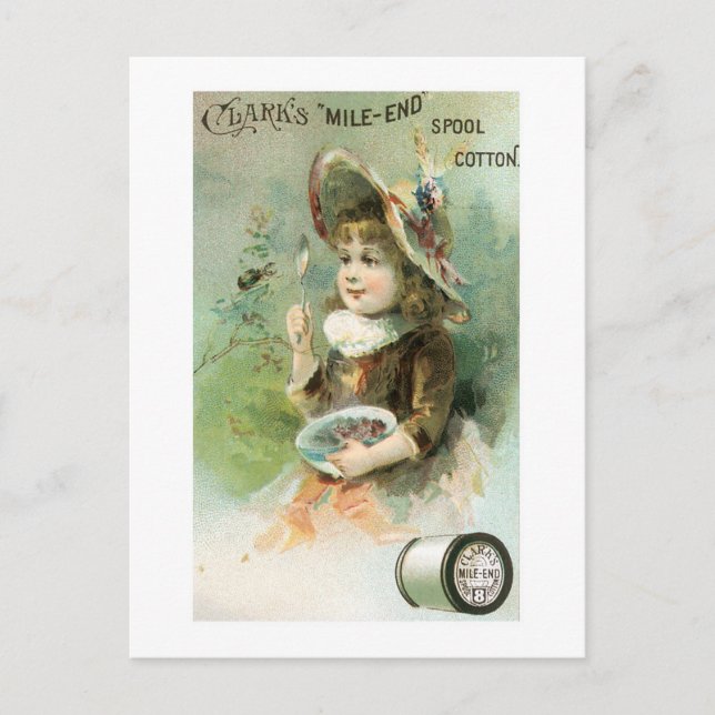 Carte Postale Coton d'extrémité de l'extrémité du mille Clarks ( (Devant)