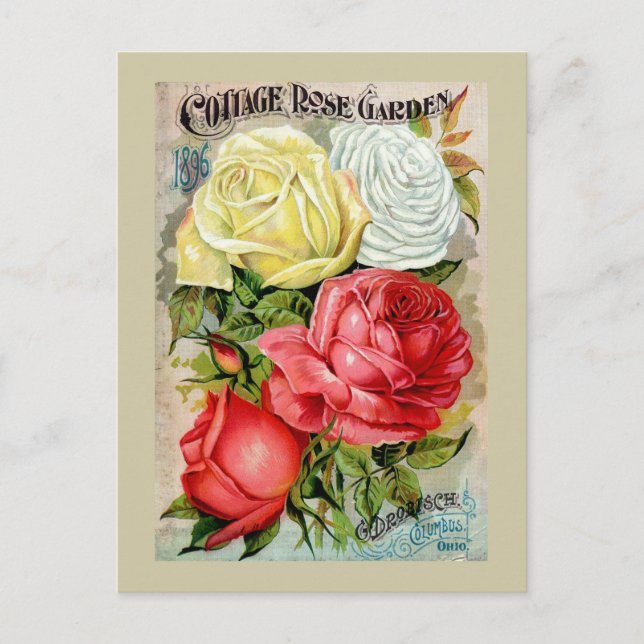 Carte Postale Cottage Rose Garden Publicité (Devant)