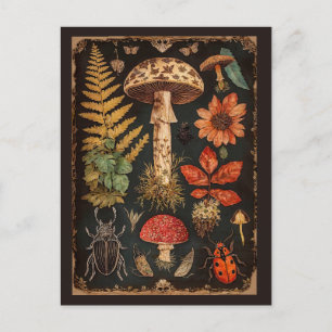Carte Postale Cottagecore Champignon de la Forêt Vintage