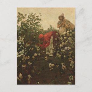 Carte Postale Cotton