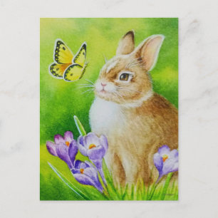 Carte Postale Cottontail Rabbit Papillon Crocus Aquarelle Art
