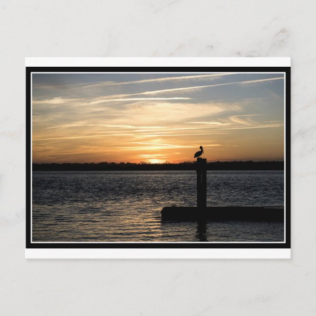 Carte Postale Couché de soleil de Floride avec Pélican (Devant)