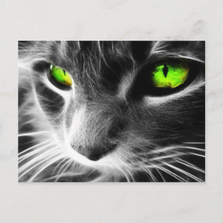 Carte Postale Couche gris vert yeux