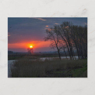 Carte postale coucher de soleil