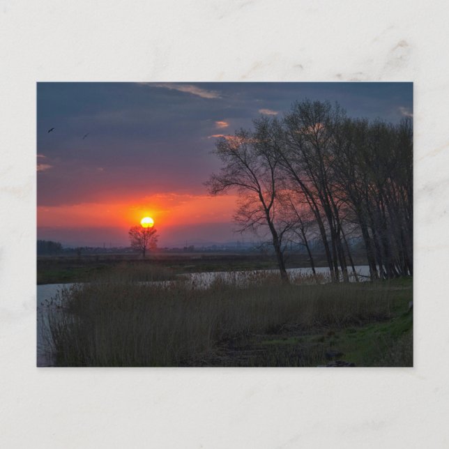 Carte postale coucher de soleil (Devant)