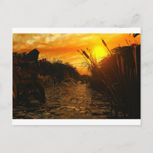 Carte Postale Coucher de soleil