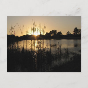 Carte Postale Coucher de soleil à l'étang