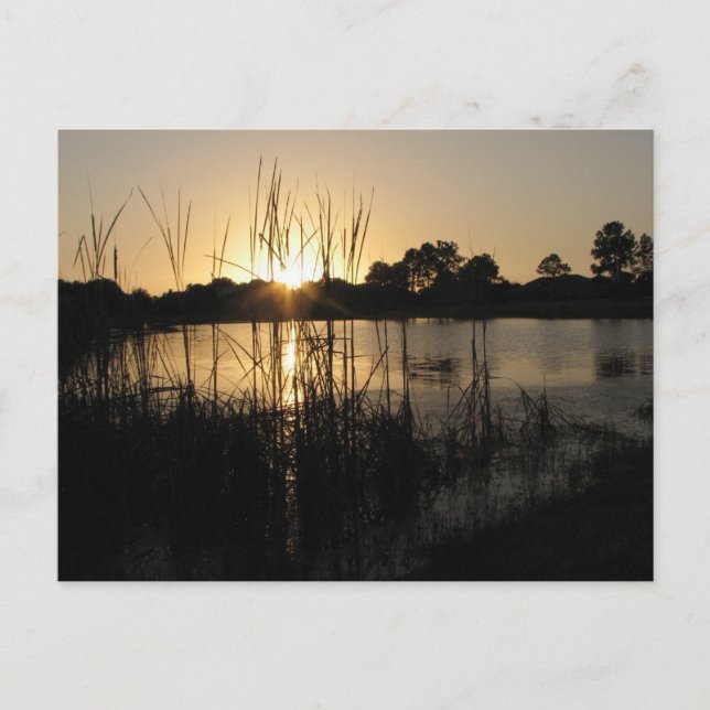 Carte Postale Coucher de soleil à l'étang (Devant)