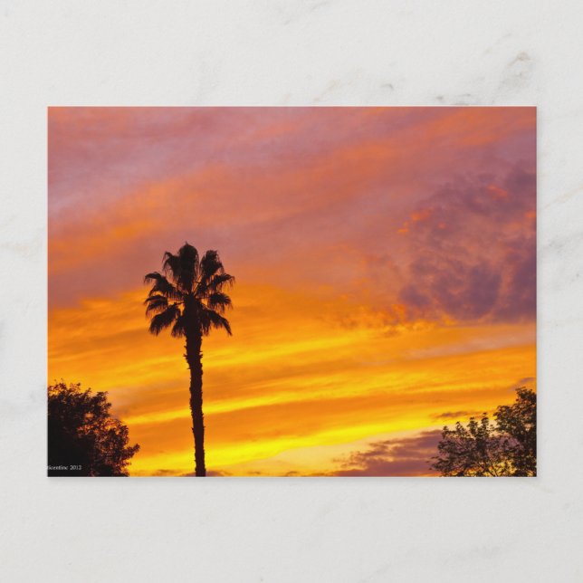Carte Postale Coucher de soleil à Palm Springs (Devant)