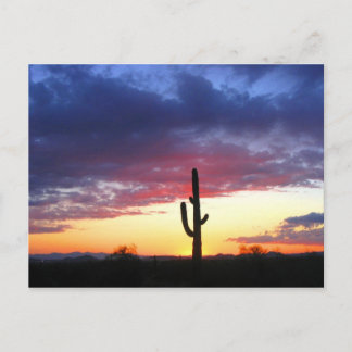 Carte Postale Coucher de soleil à Phoenix Arizona