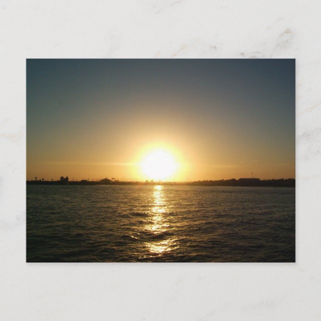 Carte Postale coucher de soleil à tampa florida (Devant)