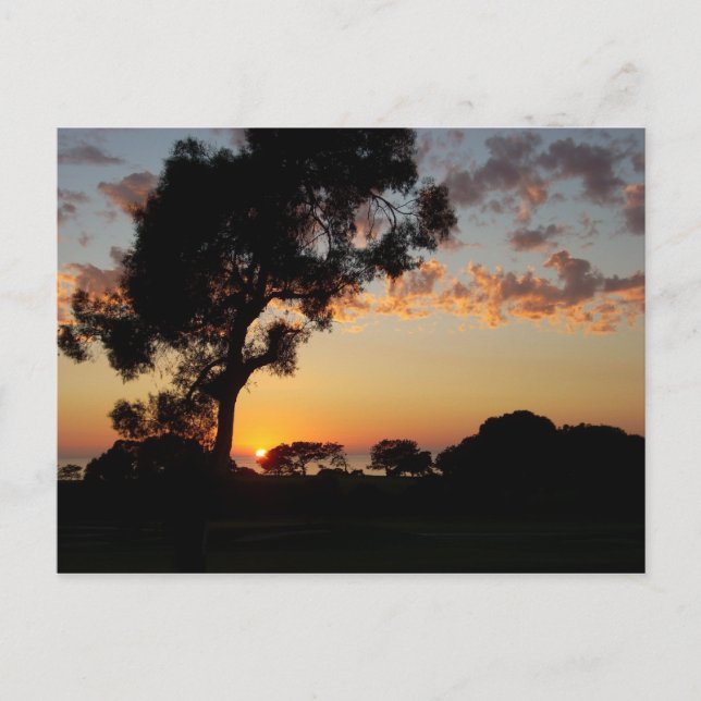 Carte Postale Coucher de soleil à Torrey Pines (Devant)